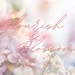 Flourish and Blossom avatar