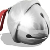 PolarBellExpress