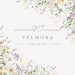 VelmoraStudio1