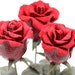 leatherblossoms avatar