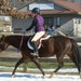 EquineKeepsakesLTD