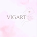 VIGART Studio