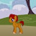 Buyer Avatar