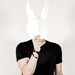 Daniele Cattaneo avatar