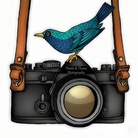 ThistleandThymePhoto