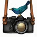 Kari Adams avatar