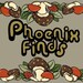 Phoenix Finds Oddities