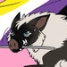Buyer Avatar
