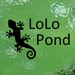 LoLo Pond