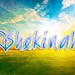 ShekinahDanceStore
