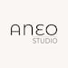 Aneo Studio