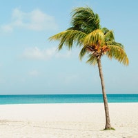 BeachLoverTees