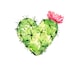 Happycactusbox