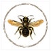 beezgoods
