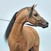 Buyer Avatar