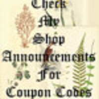 BrokeBitsBookFossils