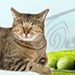 Barbara Nation avatar