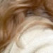 Jerusha avatar