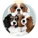 Buyer Avatar