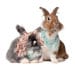Becca and Papa Bunny avatar