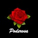 Poderosa Creations