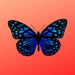 bluevintagebutterfly