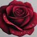 TheLastRoseStore