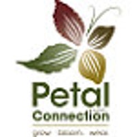 PetalConnection