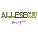Allesecu Designs