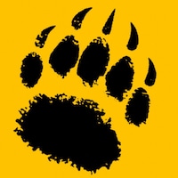 BearsDigitalPrints