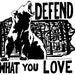 Defend What You Love