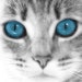 Mary Thomas avatar
