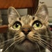 Sophie avatar