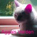 Camilla Agathe Lande Jensen