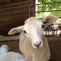 StonehavenFarmCrafts