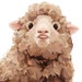 Buyer Avatar