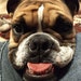 Buyer Avatar