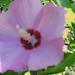 Wonderful finds of all kinds. avatar