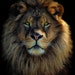 Digital Media Designer