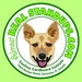 almostrealstandups avatar
