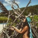 Mana Hawaii