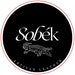 SobekLLC