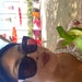 Buyer Avatar