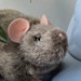 TheHatRat