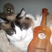 KITTISITEE