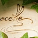 Brocelle