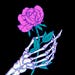Shocking Pink Rose