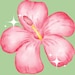 CherryLushFinds