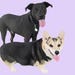 FindYourWag