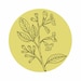 IpePrints